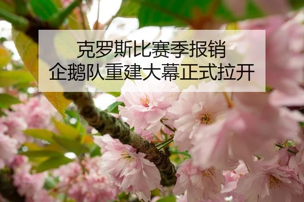 克罗斯比赛季报销 企鹅队重建大幕正式拉开